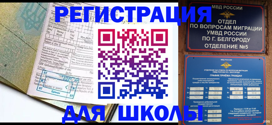 временная регистрация для всех в Бийске